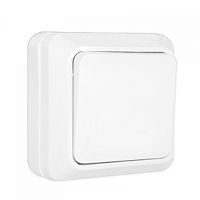 Выключатель накладной ASD Bolleto 7021 1-кл. белый картинка